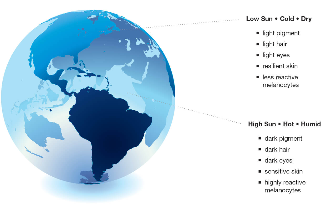 Globe illustration of climate regions